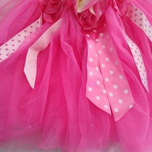 3/$15 Popatu girl's M size tutu skirt with ribbons and flowers